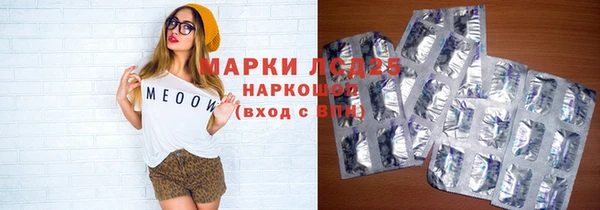 твердый Арсеньев