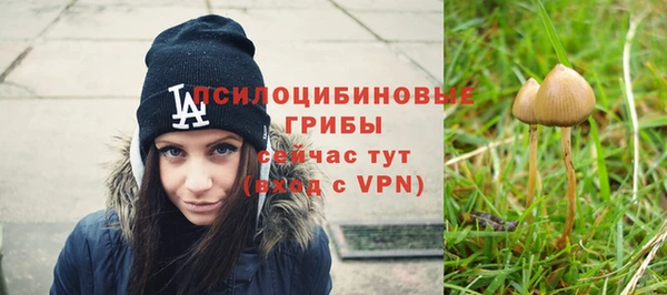 mix Аркадак