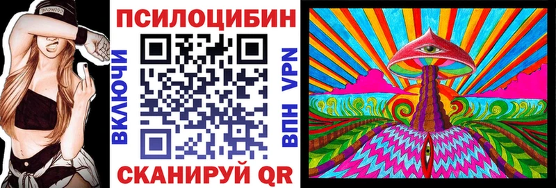 Купить Сим Псилоцибиновые грибы Psilocybe